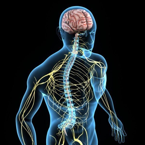 Peripheral Neuropathy